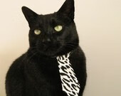 唯一，拉文制胜球粉碎质疑，新疆创造历史