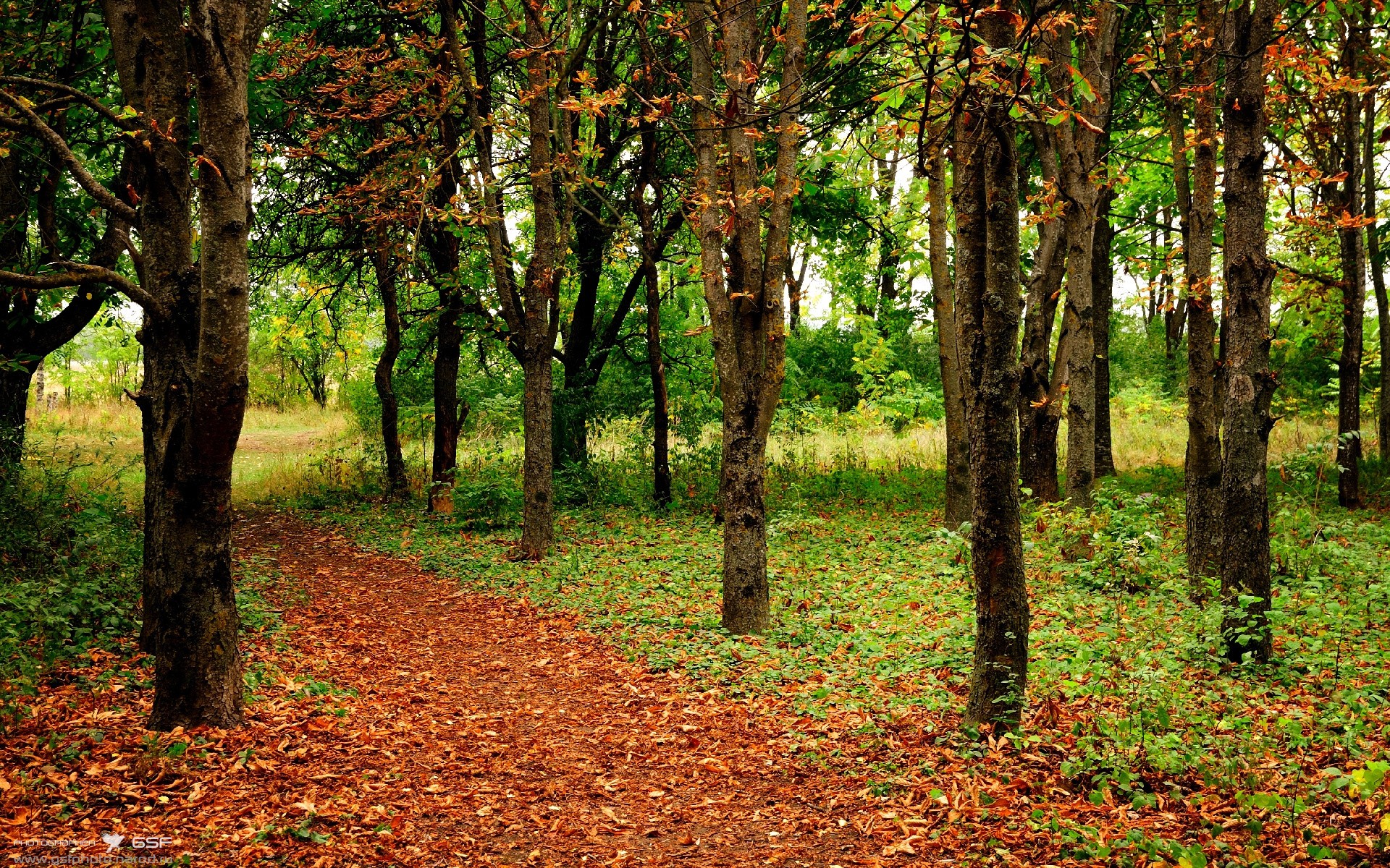 爱游戏官方-奥运烽火中的足球英雄，范戴克关键接管，墨西哥淘汰伊拉克晋级
