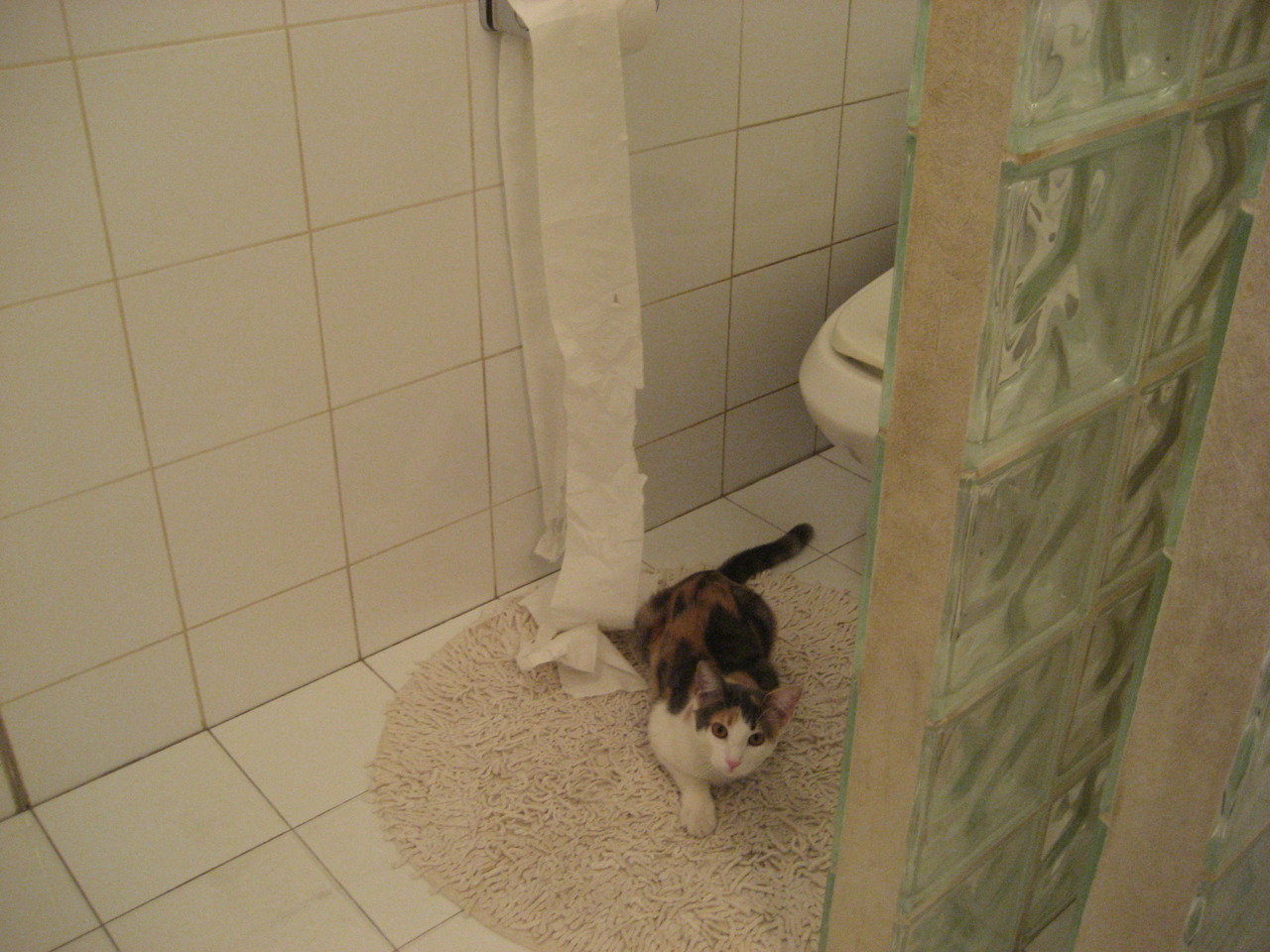 爱游戏tv-救赎的触地，系统的胜利，武切维奇与凯尔特人的双重寓言