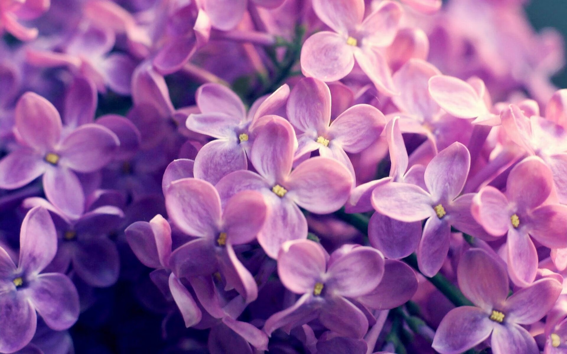 爱游戏下载-跨界风暴，伊朗足球碾压勒沃库森，皮克以篮球抢七精神主宰季后赛