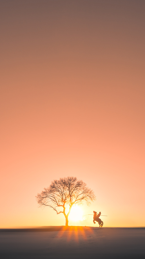 沉寂后的惊雷，西决生死夜，克莱·汤普森投出的不仅是三分