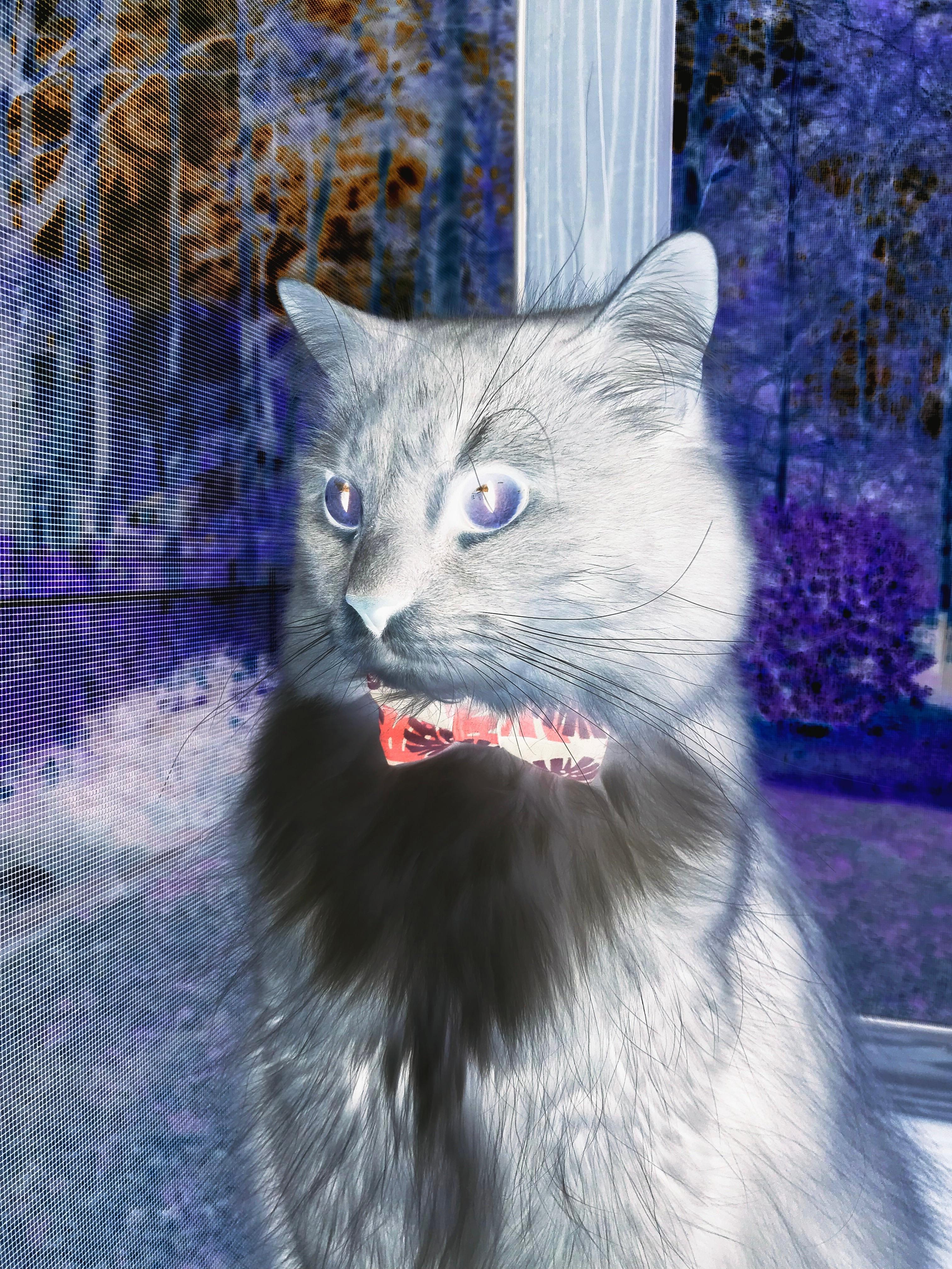 历史与像素，狂热德比与冷刀爆冷背后，对抗的永恒法则