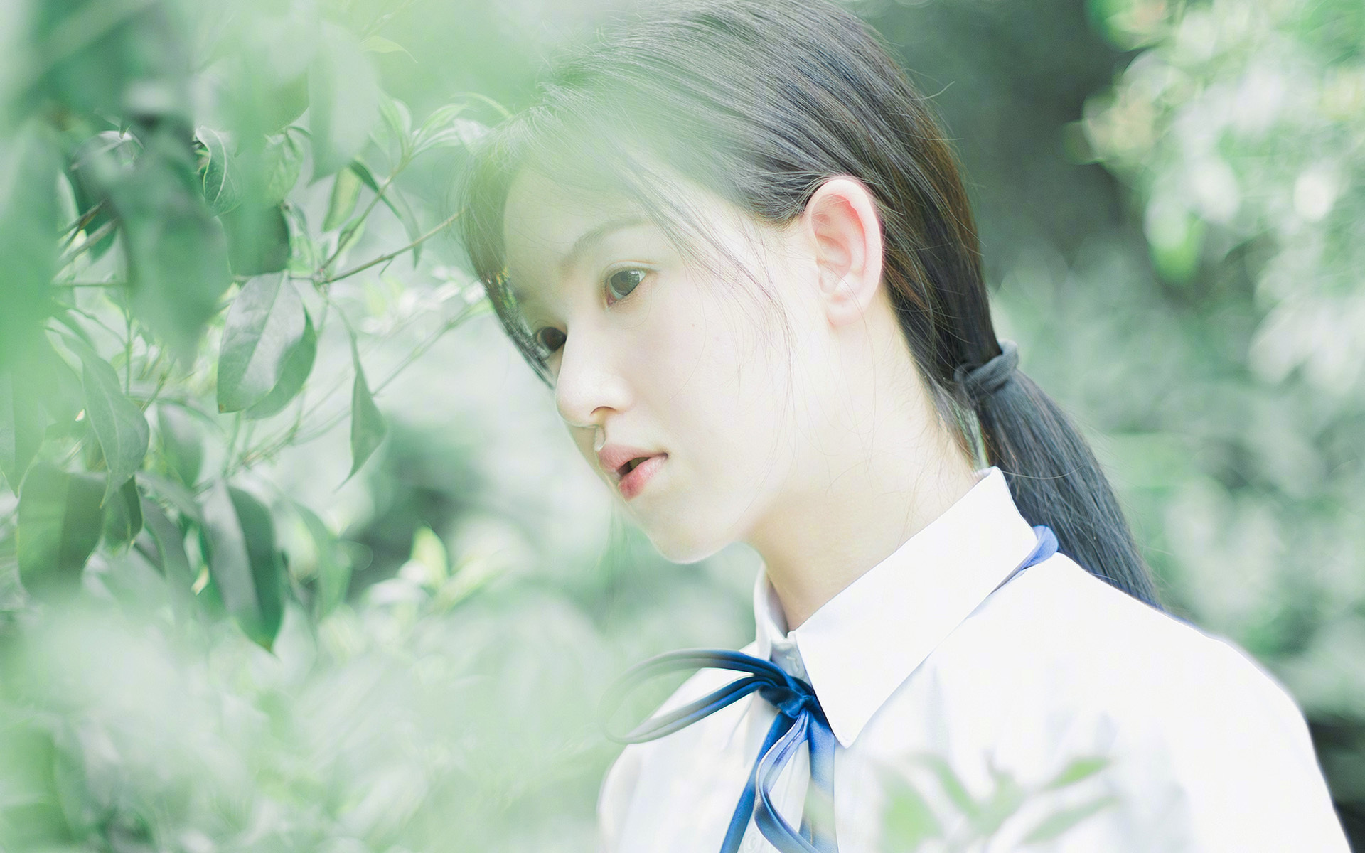 澳洲烈焰燃爆绿茵，一场堪比西甲国家德比的南半球焦点战