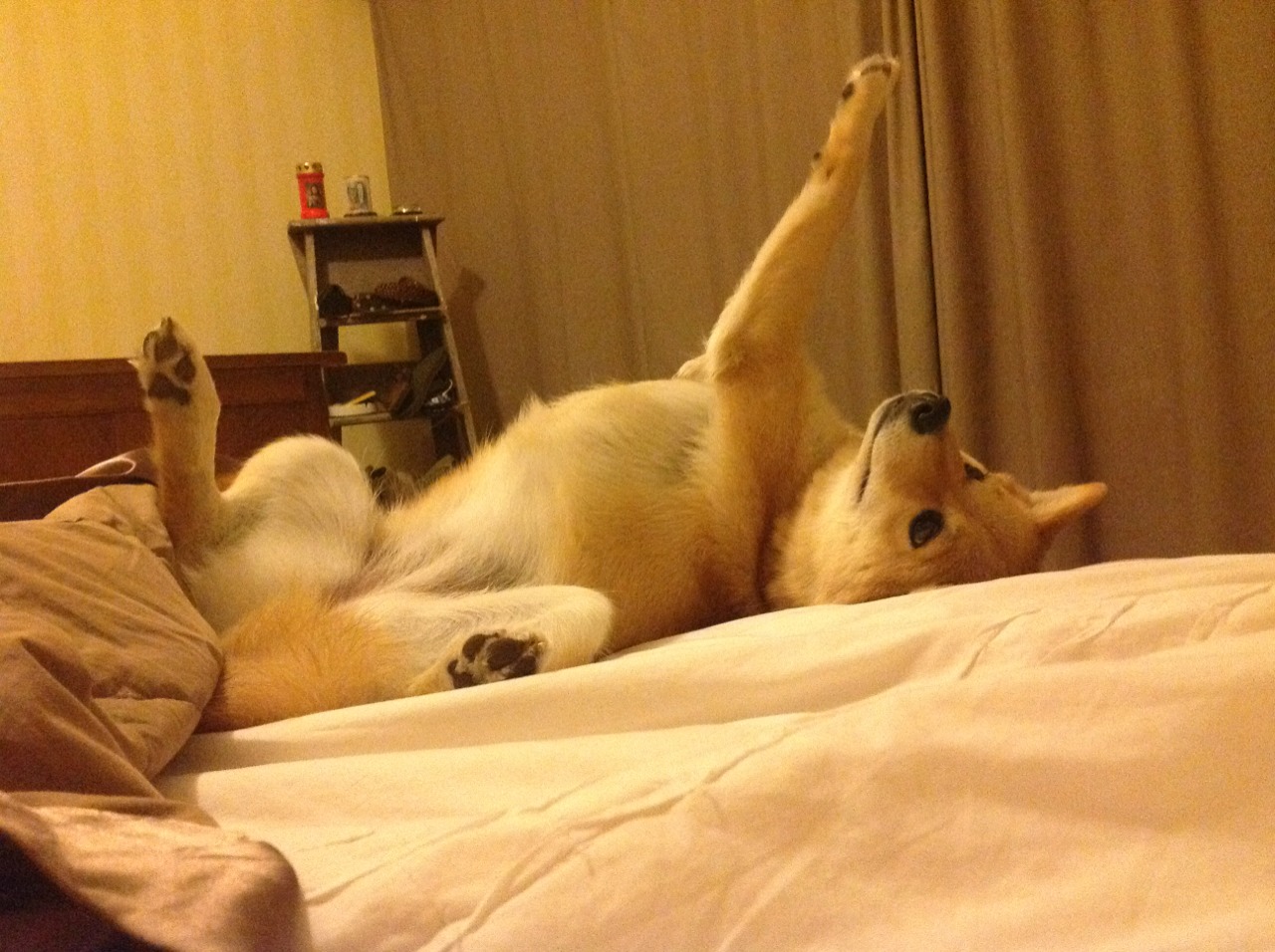 爱游戏下载-赛道芭蕾，当格纳布里成为F1之夜的终极胜负手