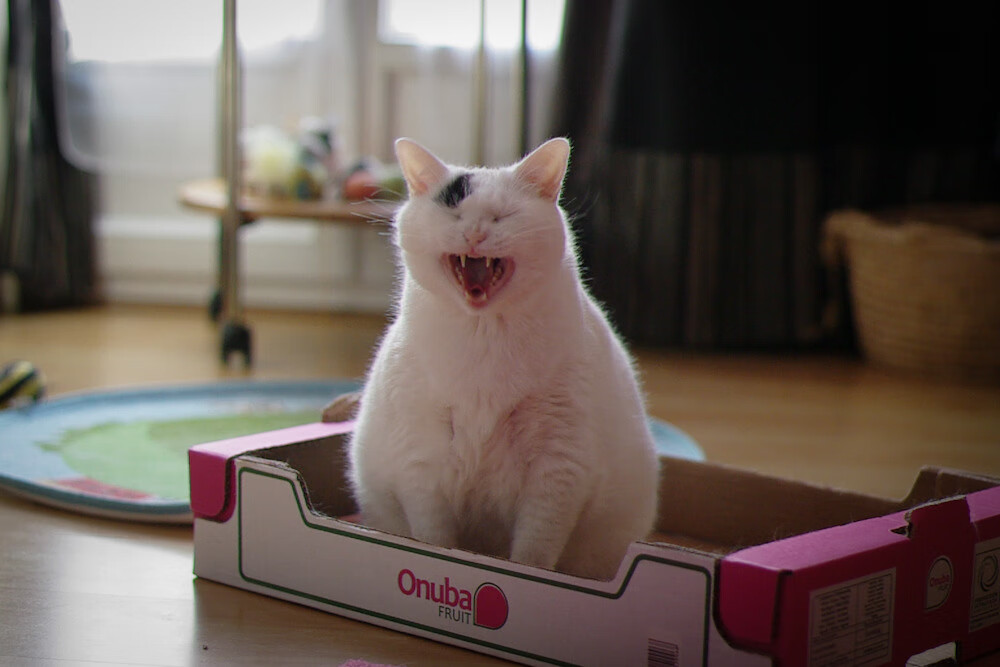 末节觉醒，浙江队逆转魔术，霍勒迪制胜一投定乾坤