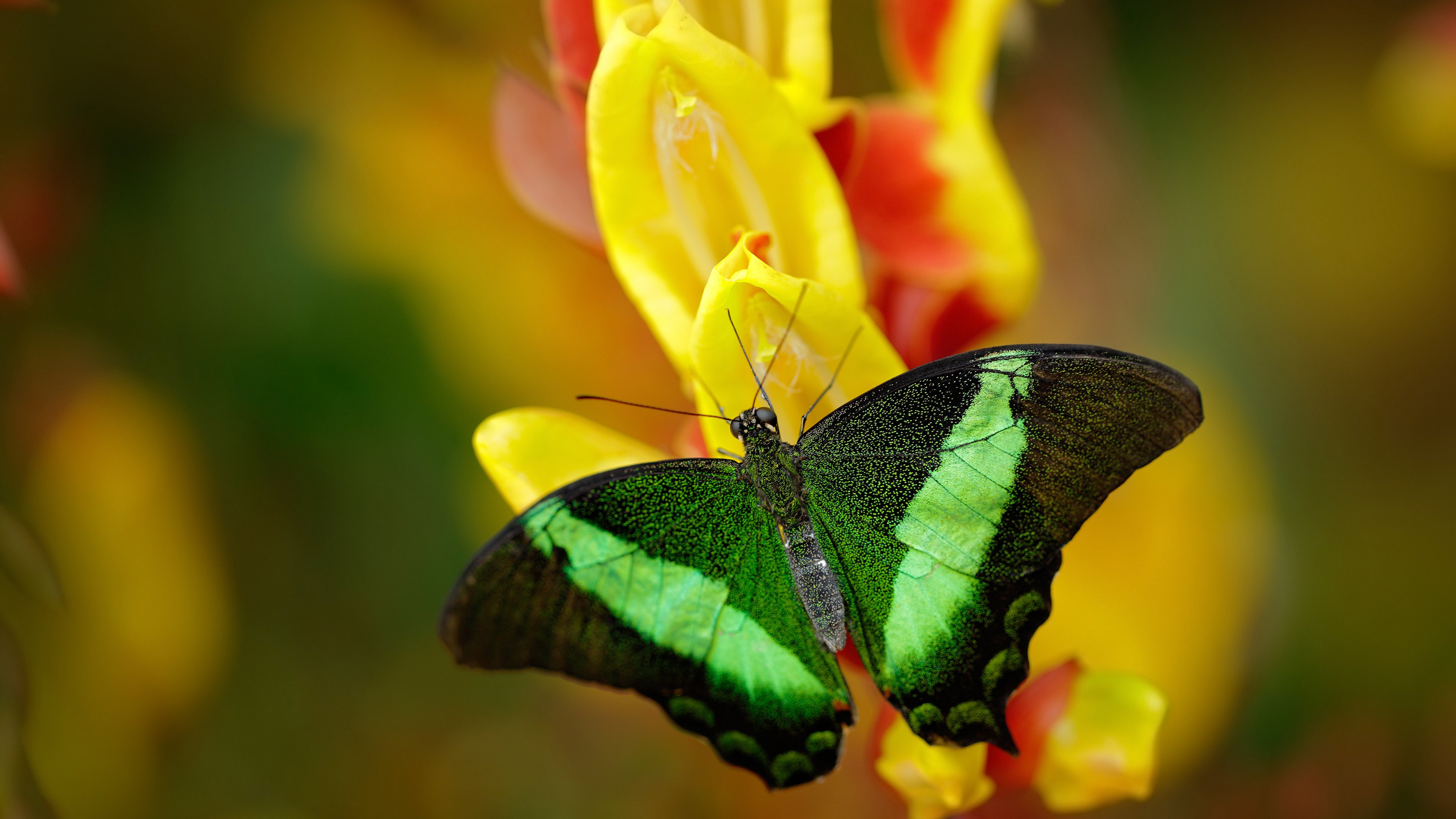 爱游戏官方入口-横扫与接管，竞技场上的绝对统治力
