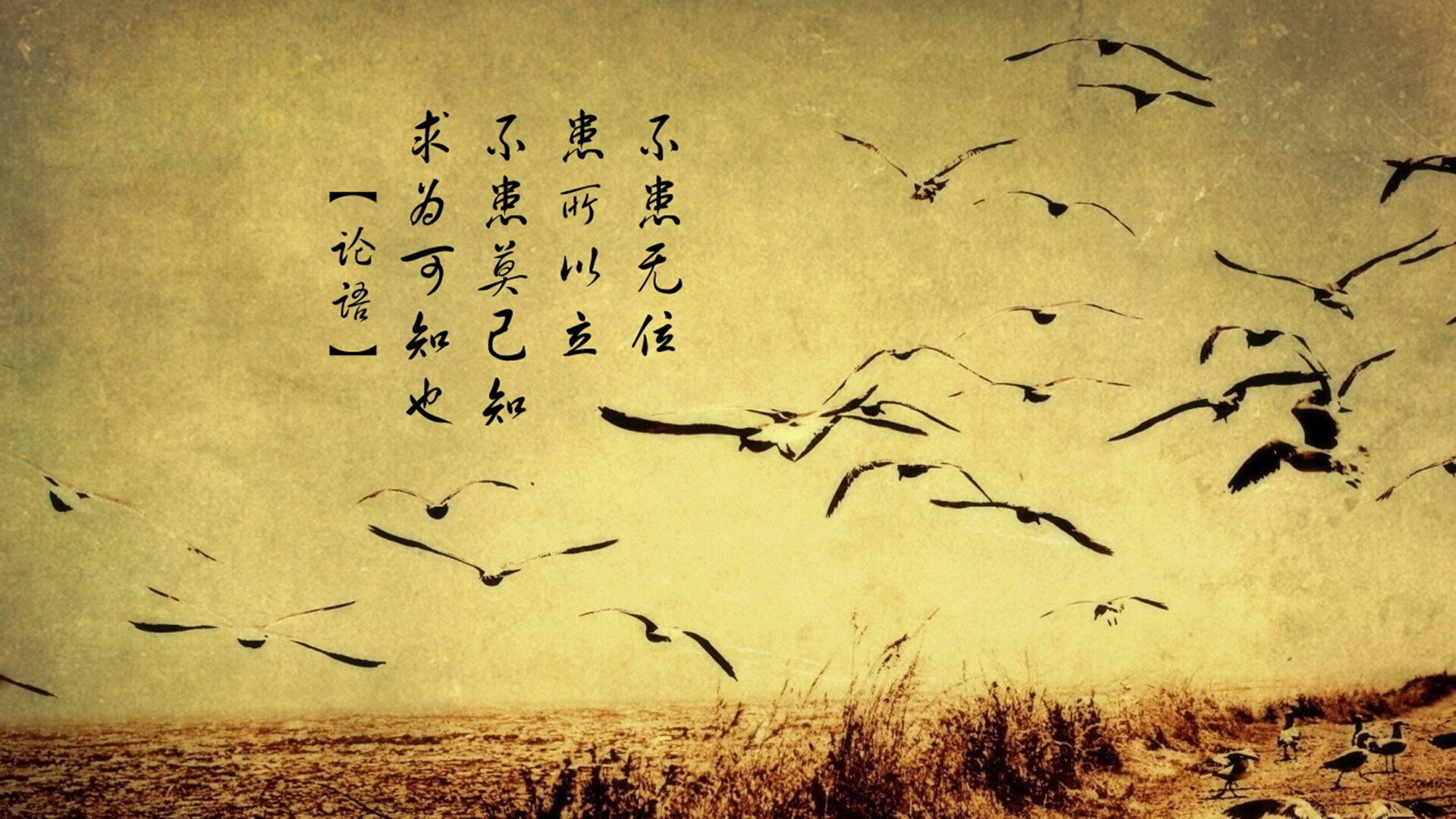 爱游戏官方-孤星闪耀，当努涅斯在2026世界杯E组点亮波兰与泰国的宿命对决