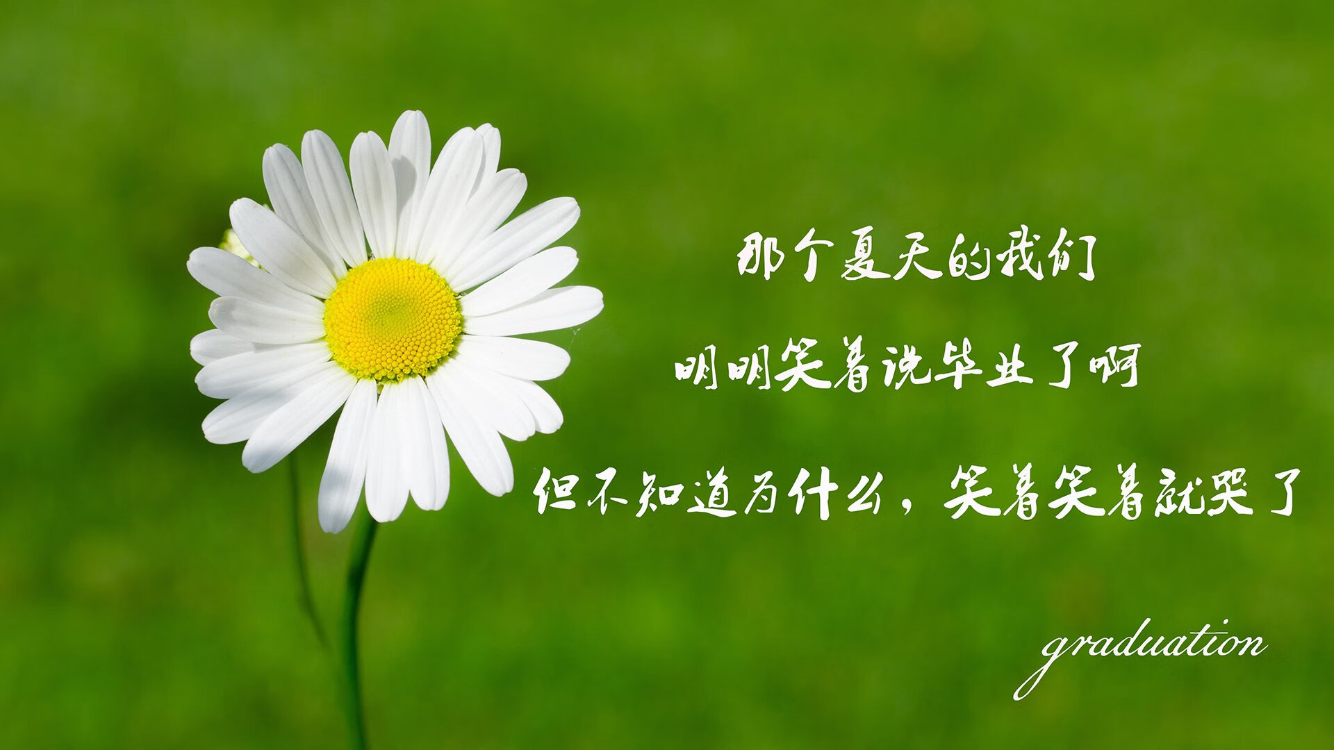 2026世界杯F组生死战，萨卡一剑封喉，泰国改写历史的窒息之夜